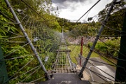 NZ2015-197  Buller Gorge Swing Bridge. : 2015, New Zealand